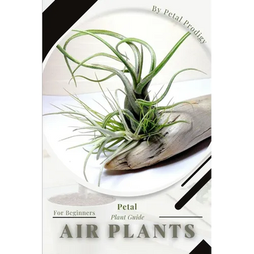 Air plants: Prodigy Petal, Plant Guide - Paperback