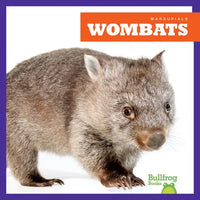 Wombats - Library Binding