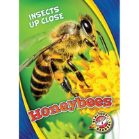 Honeybees - Library Binding