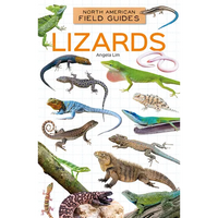 Lizards - Library Binding