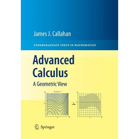 Advanced Calculus: A Geometric View - Paperback