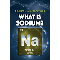 What Is Sodium? - Paperback