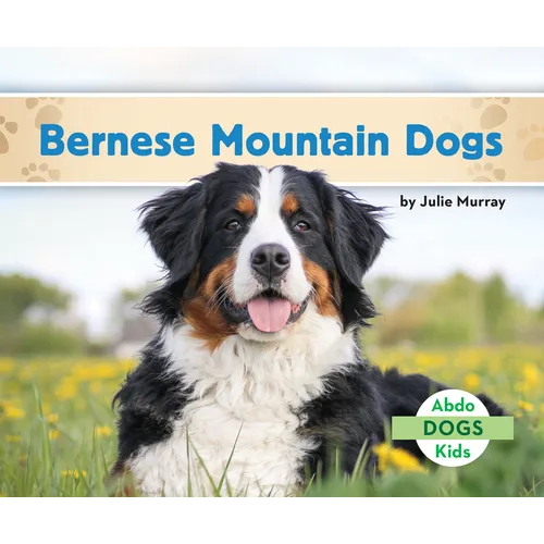 Bernese Mountain Dogs