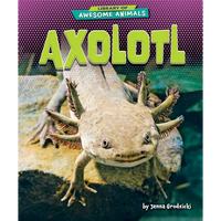 Axolotl - Paperback