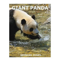 Giant Panda - Paperback