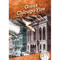 Great Chicago Fire - Library Binding