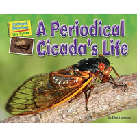 A Periodical Cicada's Life - Paperback