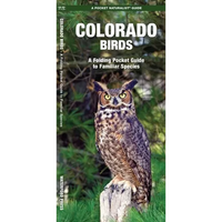 Colorado Birds: A Folding Pocket Guide to Familiar Species