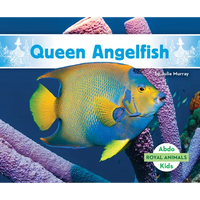Queen Angelfish - Library Binding