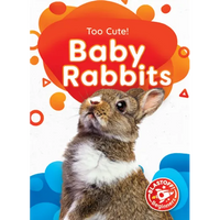 Baby Rabbits - Library Binding