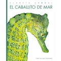 El Caballito de Mar