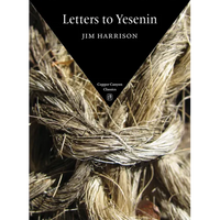Letters to Yesenin - Paperback
