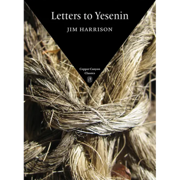 Letters to Yesenin - Paperback