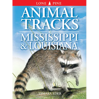 Animal Tracks of Mississippi & Louisiana - Paperback