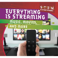 Everything Is Streaming: Music, Movies, and More - Library Binding