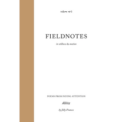 Fieldnotes: in stillness & motion
