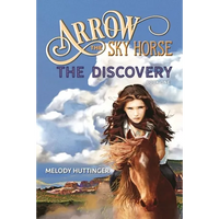 Arrow the Sky Horse: The Discovery - Paperback