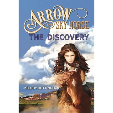 Arrow the Sky Horse: The Discovery - Paperback