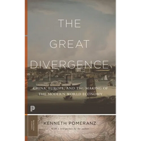 The Great Divergence: China, Europe, and the Making of the Modern World Economy - Paperback