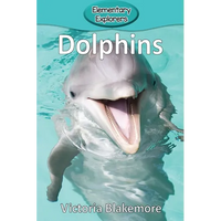 Dolphins - Paperback