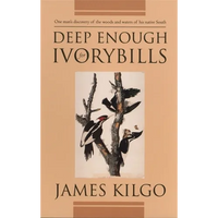 Deep Enough for Ivorybills - Paperback