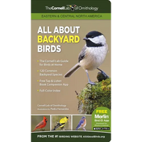 All about Backyard Birds- Eastern & Central North America - Paperback