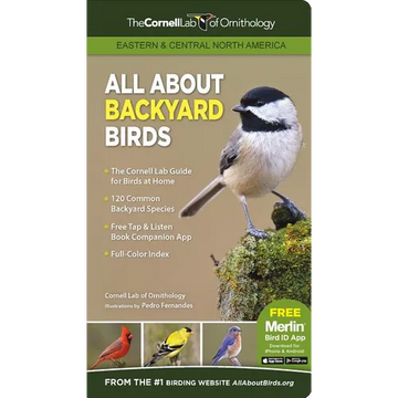 All about Backyard Birds- Eastern & Central North America - Paperback