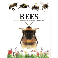 Bees: Heroes of the Garden - Paperback