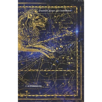 Password Keeper: Leo Constellation - Paperback