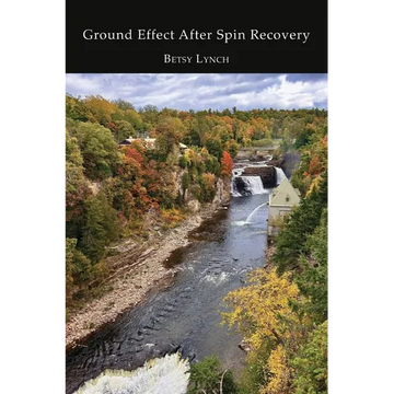 Ground Effect After Spin Recovery - Paperback