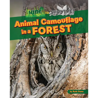 Animal Camouflage in a Forest - Paperback