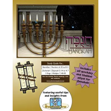 Bar/Bat Mitzvah Survival Guides: Hanukah - Paperback