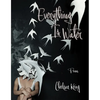 Everything Is Water: Poems Volume 13 - Paperback