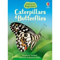 Caterpillars and Butterflies - Paperback