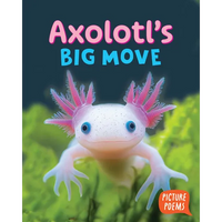 Axolotl's Big Move - Paperback