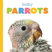 Baby Parrots - Paperback