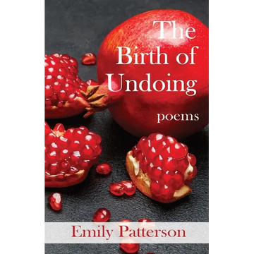 The Birth of Undoing - Paperback