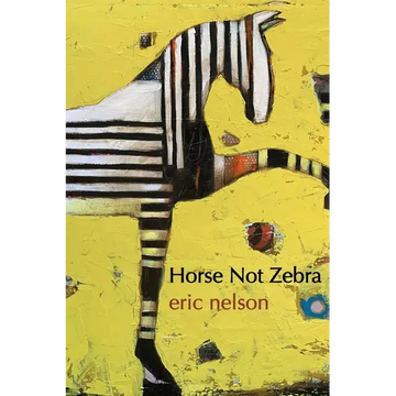 Horse Not Zebra - Paperback