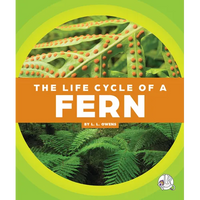 The Life Cycle of a Fern - Library Binding