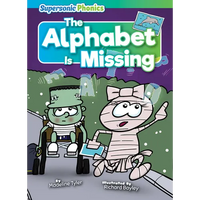 The Alphabet Is Missing - Paperback