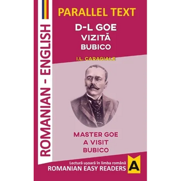 D-L Goe. VizitĂ. Bubico - Paperback