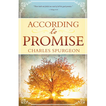According to Promise - Paperback