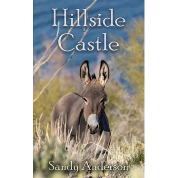 Hillside Castle - Paperback