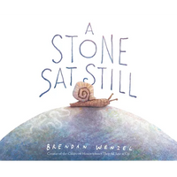 A Stone SAT Still - Library Binding