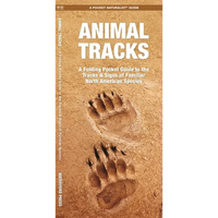 Animal Tracks: A Folding Pocket Guide to the Tracks & Signs of Familiar North American Species