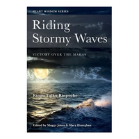 Riding Stormy Waves: Victory over the Maras - Paperback