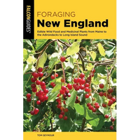 Foraging New England - Paperback