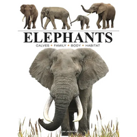 Elephants - Paperback