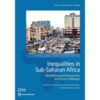 Inequalities in Sub-Saharan Africa: Multidimensional Perspectives and Future Challenges - Paperback