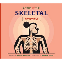 A Tour of the Skeletal System - Paperback